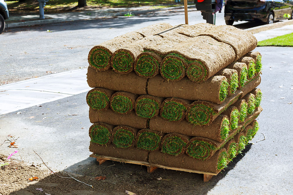 Landscaped lawn with lush groundcover beside parked vehicle – Buildnest’s expert sod laying and garden landscaping services in Niagara Region