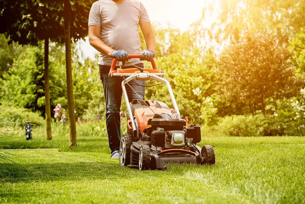 Buildnest professional mowing lawn with walk-behind mower – expert lawn care and grass maintenance services in Niagara Region