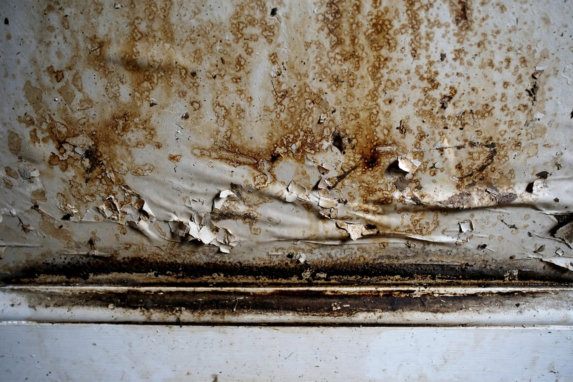 Flood-damaged drywall with waterline stains in a Welland basement — drywall repair Welland